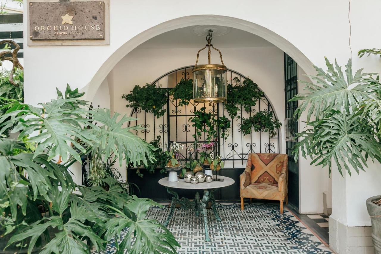 Orchid House Polanco Hotel Mexico By Eksteriør billede