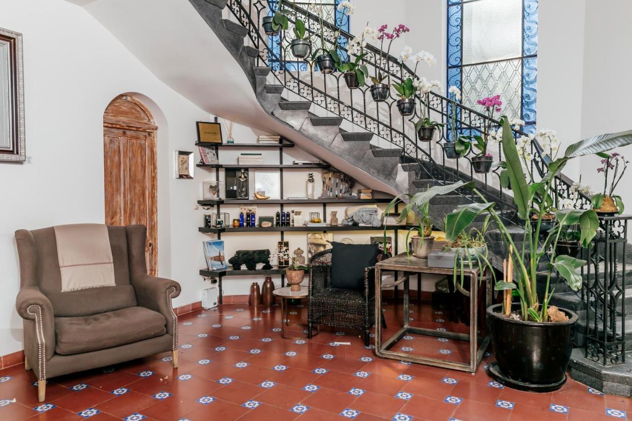 Orchid House Polanco Hotel Mexico By Eksteriør billede