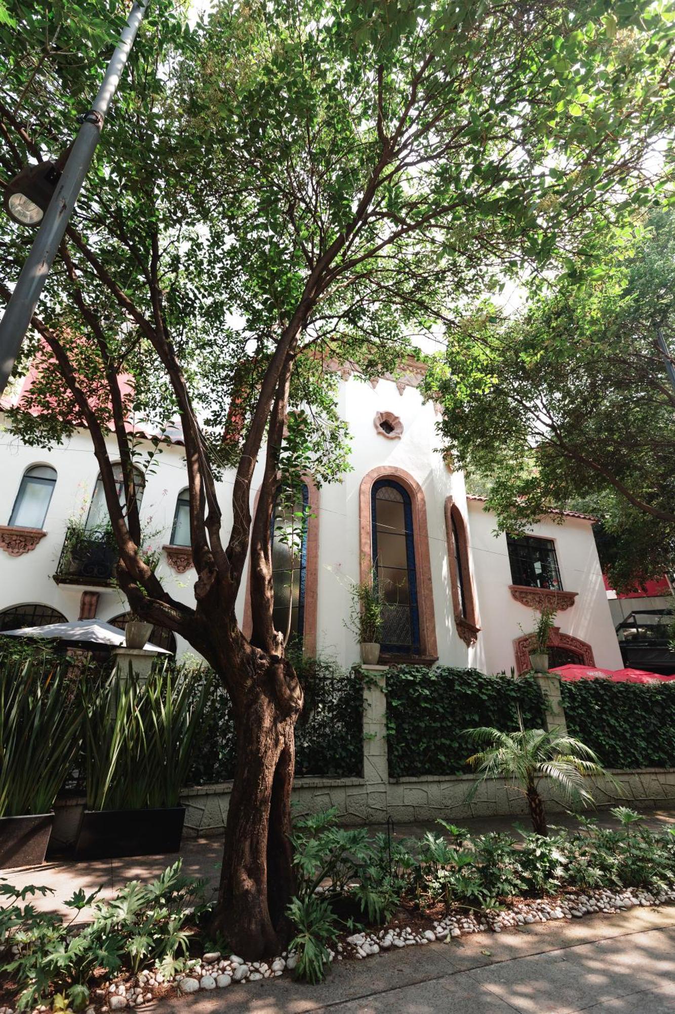 Orchid House Polanco Hotel Mexico By Eksteriør billede