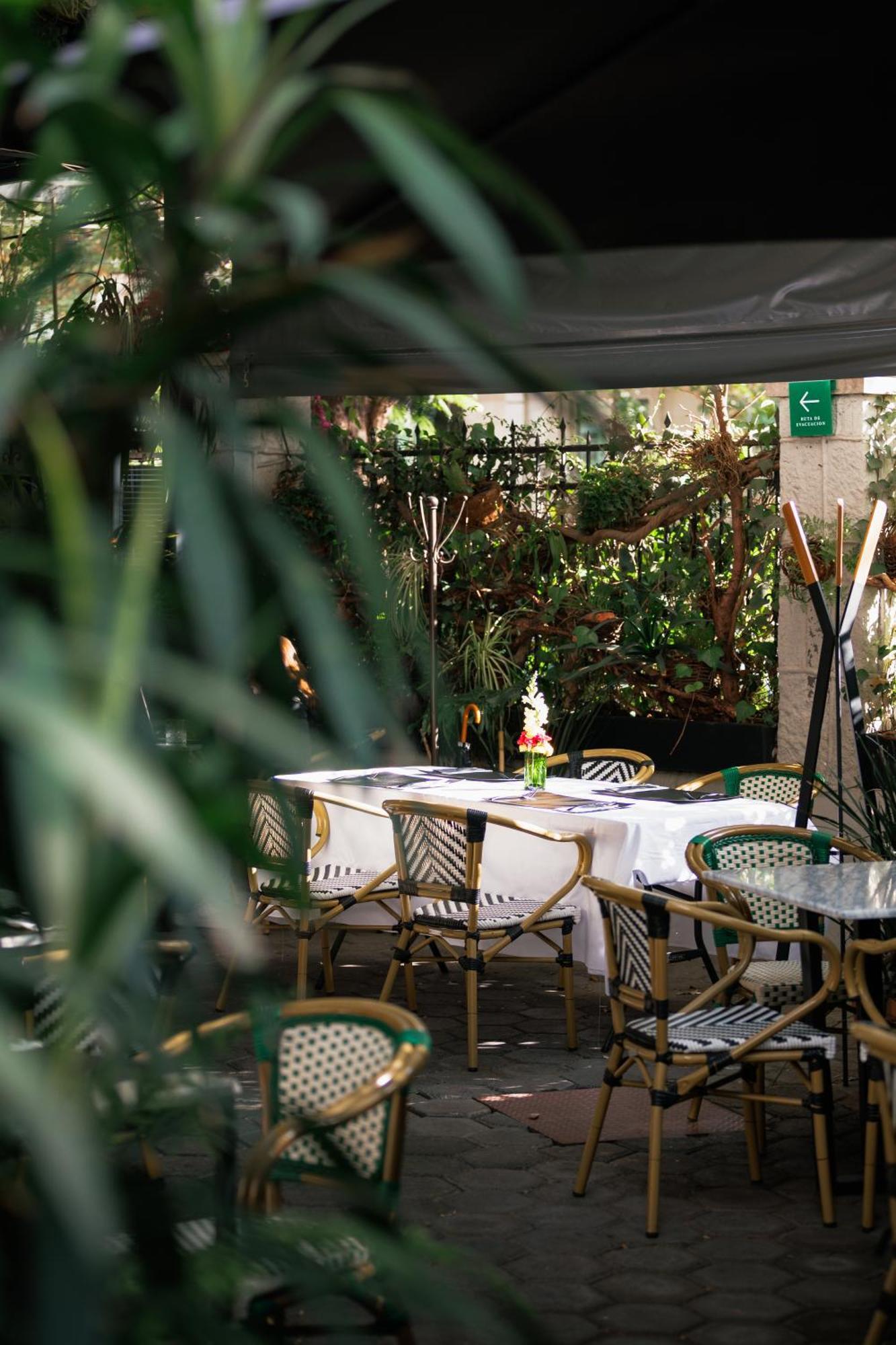 Orchid House Polanco Hotel Mexico By Eksteriør billede