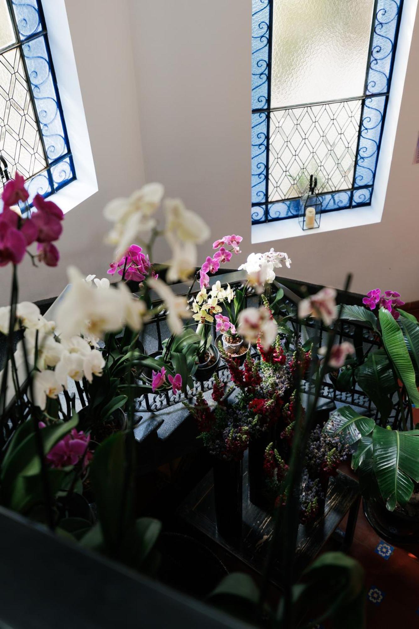 Orchid House Polanco Hotel Mexico By Eksteriør billede