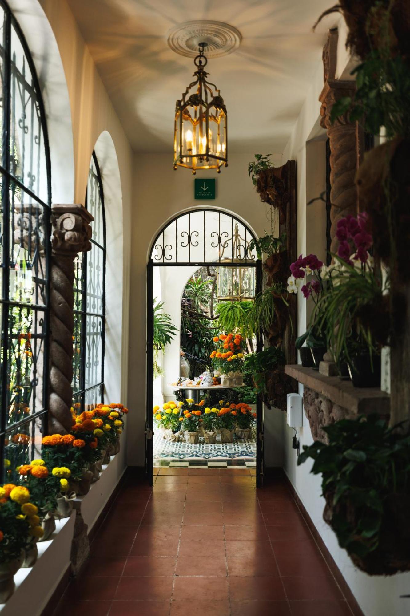 Orchid House Polanco Hotel Mexico By Eksteriør billede