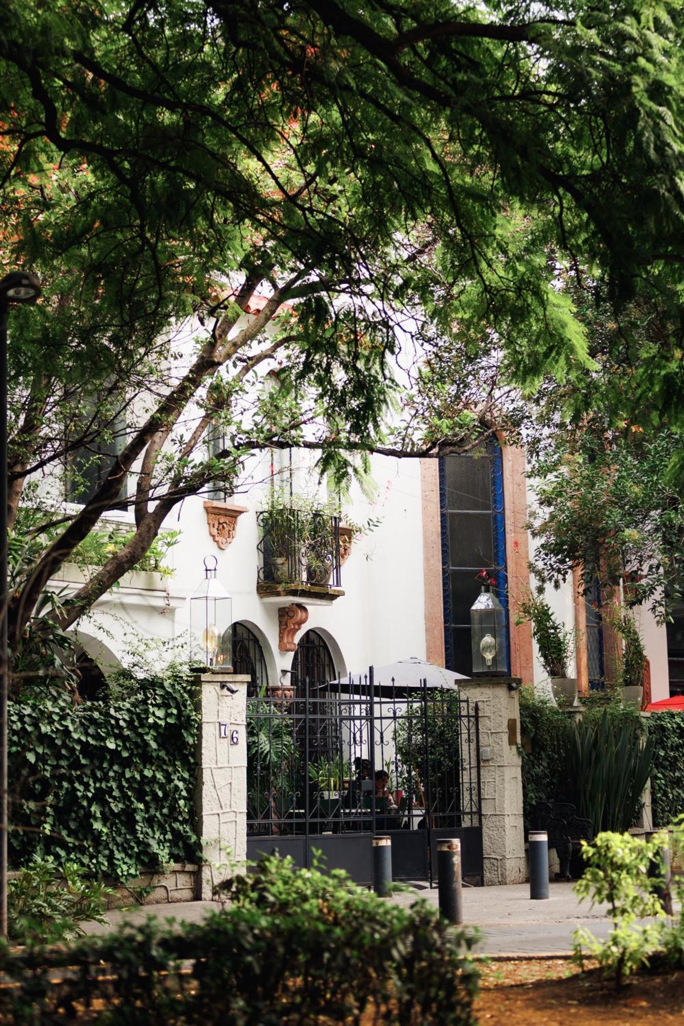 Orchid House Polanco Hotel Mexico By Eksteriør billede