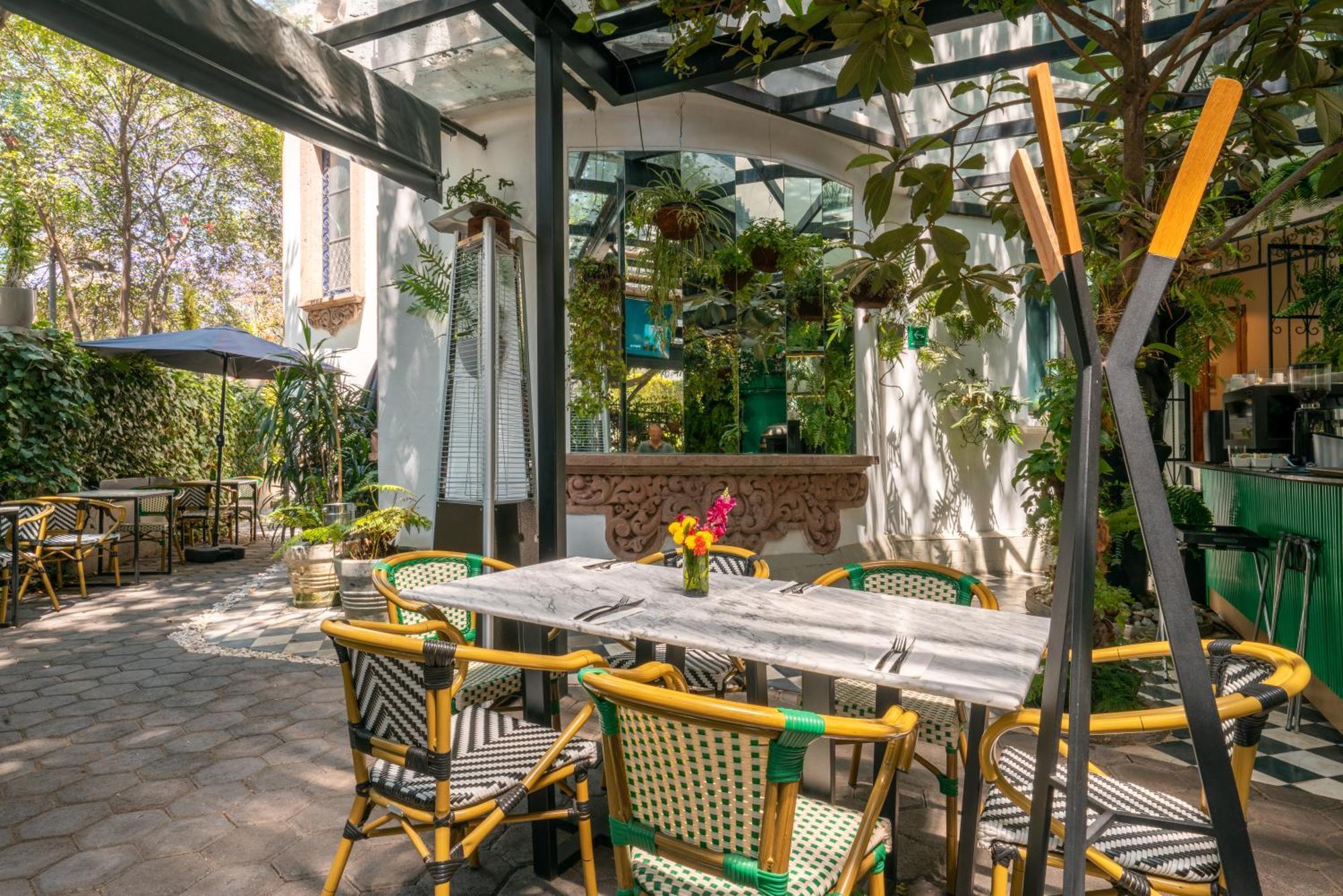 Orchid House Polanco Hotel Mexico By Eksteriør billede