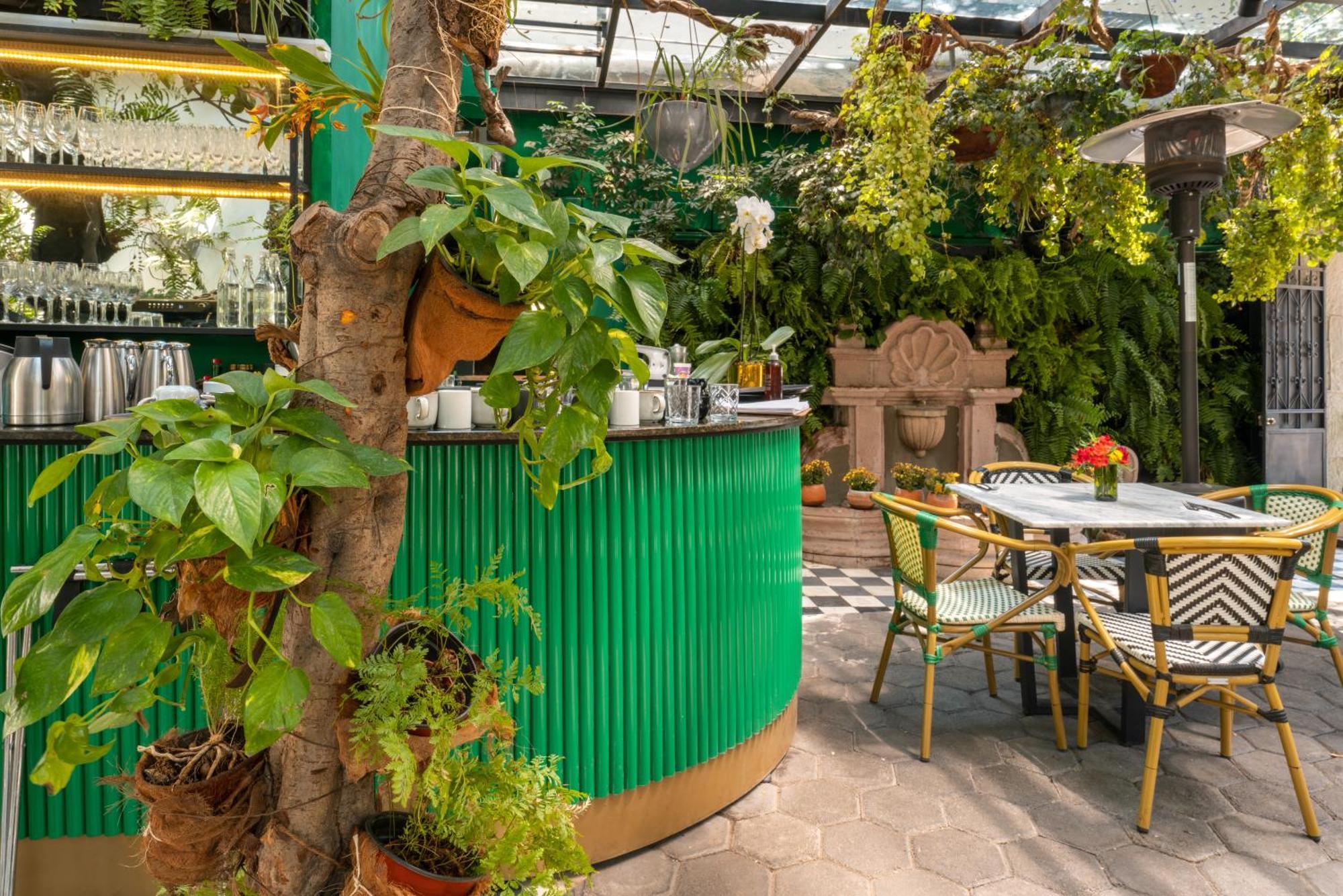 Orchid House Polanco Hotel Mexico By Eksteriør billede